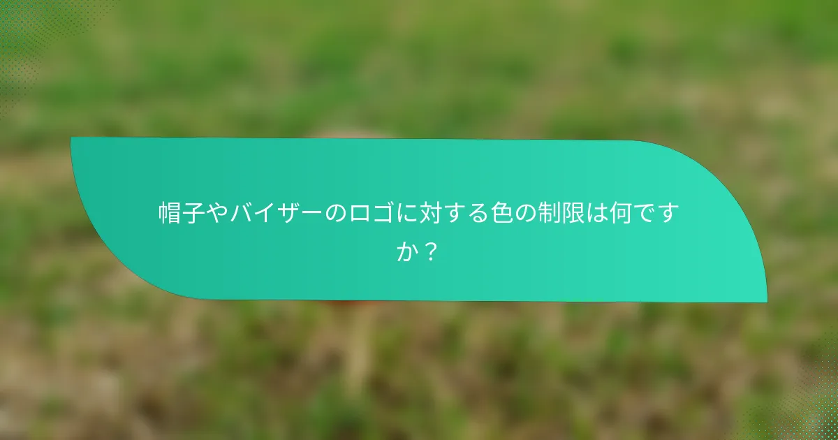 帽子やバイザーのロゴに対する色の制限は何ですか？
